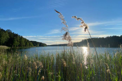 10_image